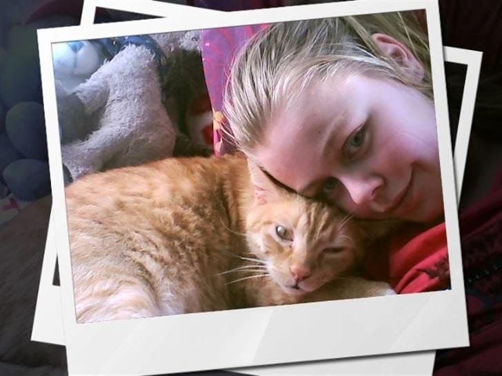 Huskat Mikkel billede 11