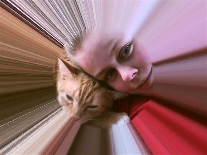 Huskat Mikkel - For evigt, og atter for evigt skal min elskede Mikkel og jeg være sammen  billede 12