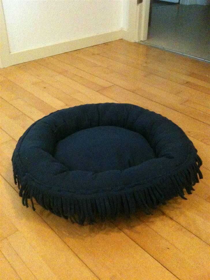 Huskat Tiger Mulle *på landet* - hans fine hjemmelavet seng billede 4