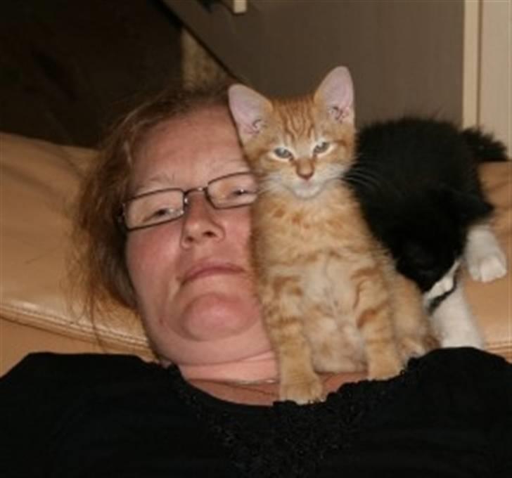 Huskat Garfield :D - "mmmm, sikke en dejlig ligge lille stol" billede 4