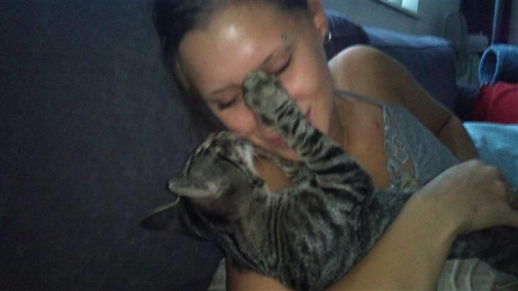 Huskat Bobby - <3 billede 10