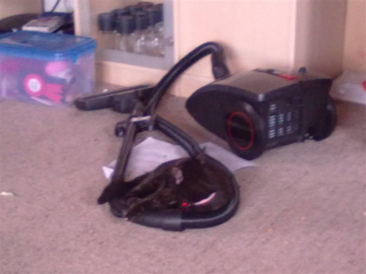 Huskat Limea billede 10