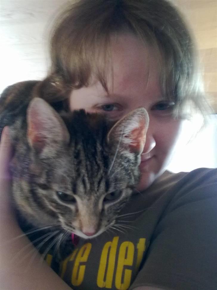 Huskat kia billede 12