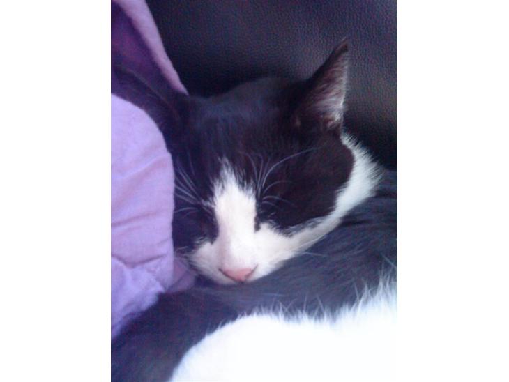 {{currentPhoto.altText}} billede {{currentPhoto.number}}