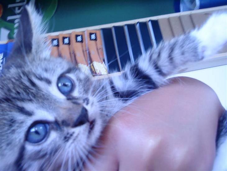 {{currentPhoto.altText}} billede {{currentPhoto.number}}