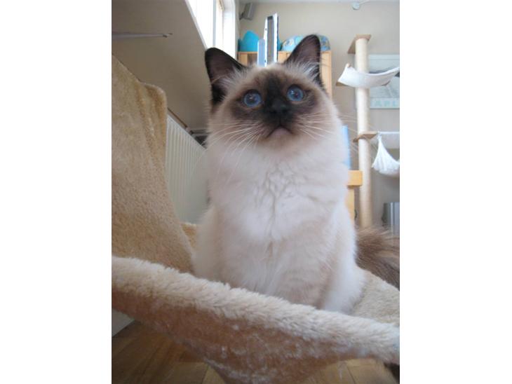 {{currentPhoto.altText}} billede {{currentPhoto.number}}