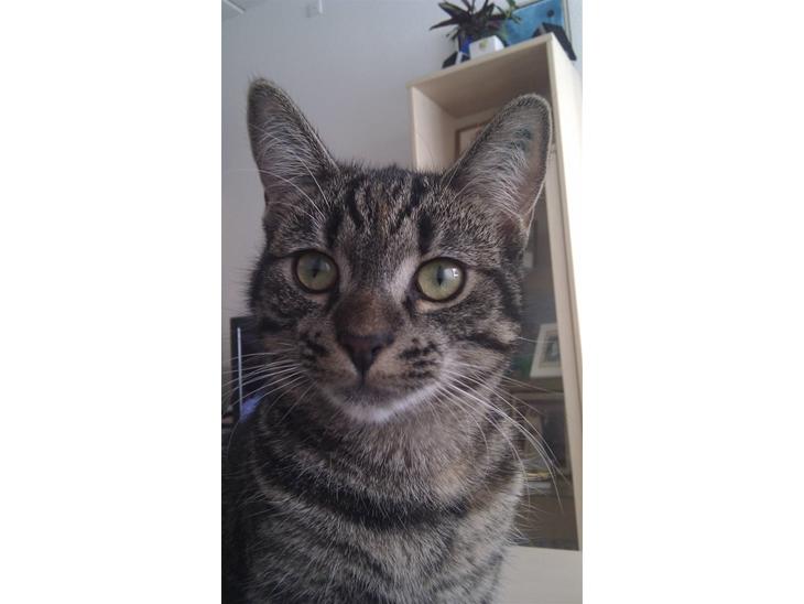 {{currentPhoto.altText}} billede {{currentPhoto.number}}