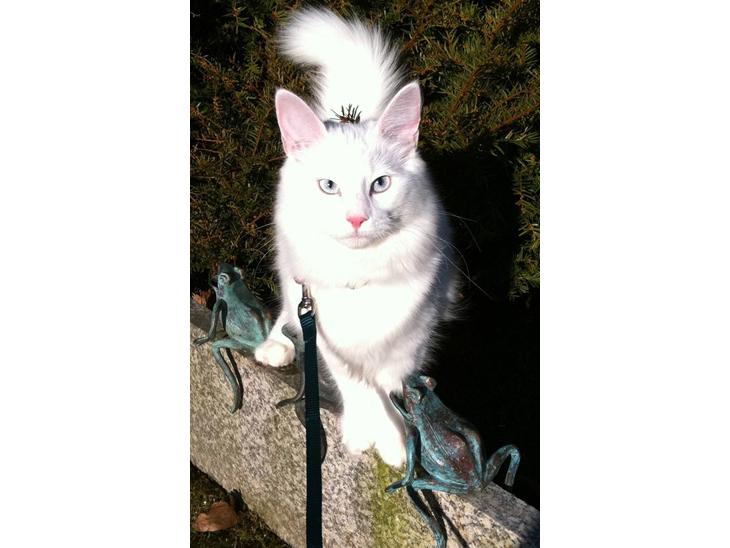 {{currentPhoto.altText}} billede {{currentPhoto.number}}