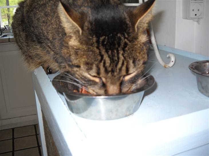 {{currentPhoto.altText}} billede {{currentPhoto.number}}