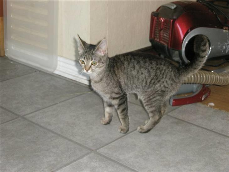 {{currentPhoto.altText}} billede {{currentPhoto.number}}