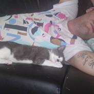 Blanding af racer Zilke