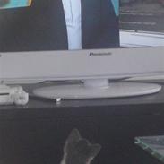 Blanding af racer Zilke