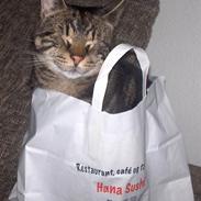 Blanding af racer Bassemand.