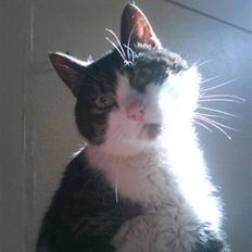 Huskat Hr. Ib Gafeld Mortensen R.I.P:'/