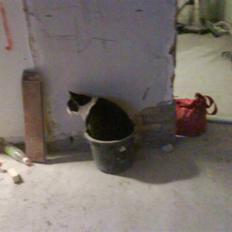 Huskat Hr. Ib Gafeld Mortensen R.I.P:'/