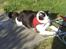 Huskat James <3
