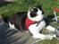 Huskat James <3