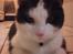 Huskat James <3