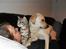 Huskat Mis