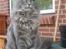 Maine Coon Will Turner
