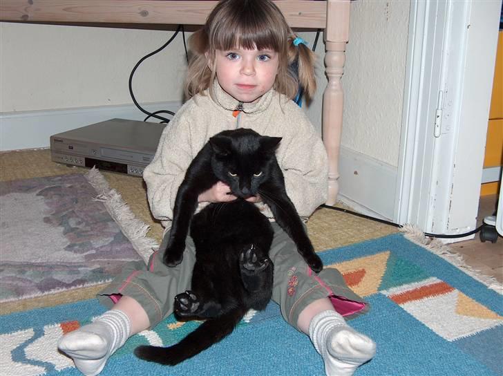 Huskat Felix (savnet siden 2009 :'(  ) billede 6