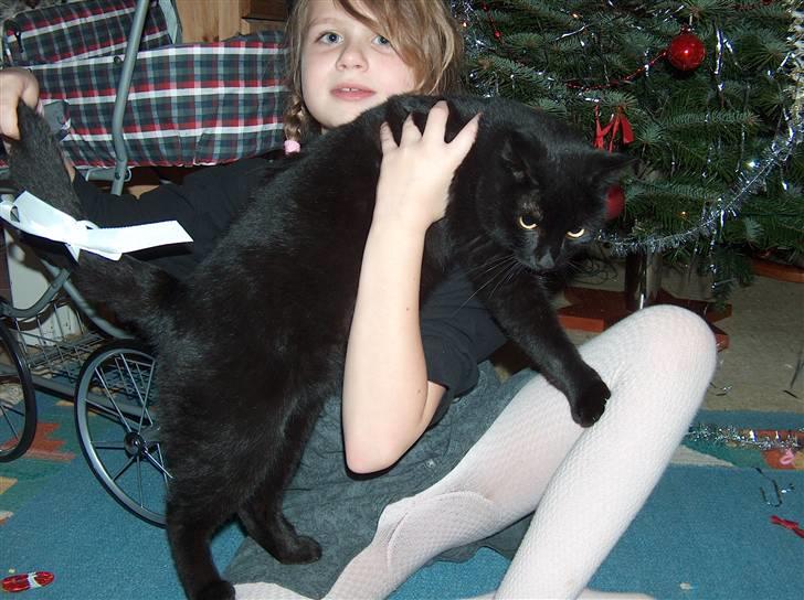 Huskat Felix (savnet siden 2009 :'(  ) - Alle de minder! jeg savner dig min skat!  billede 8