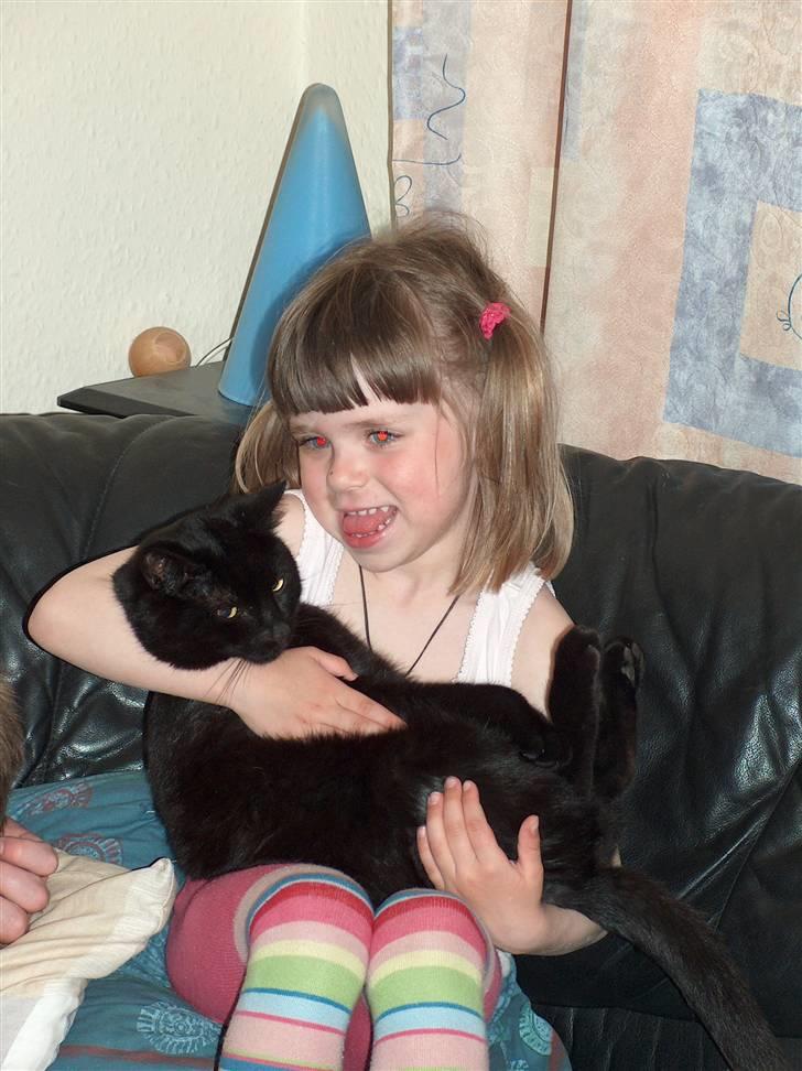 Huskat Felix (savnet siden 2009 :'(  ) billede 13