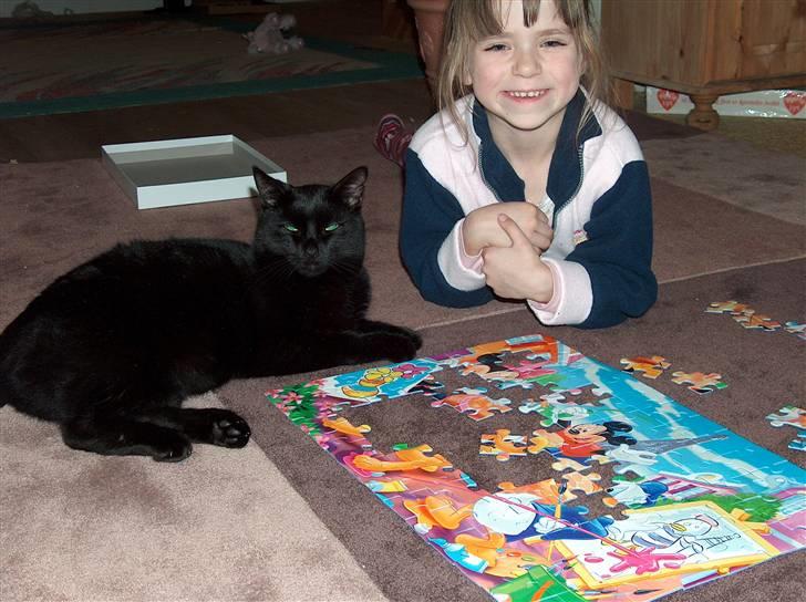 Huskat Felix (savnet siden 2009 :'(  ) - Du var en engel på jorden felix!!! :´) billede 14