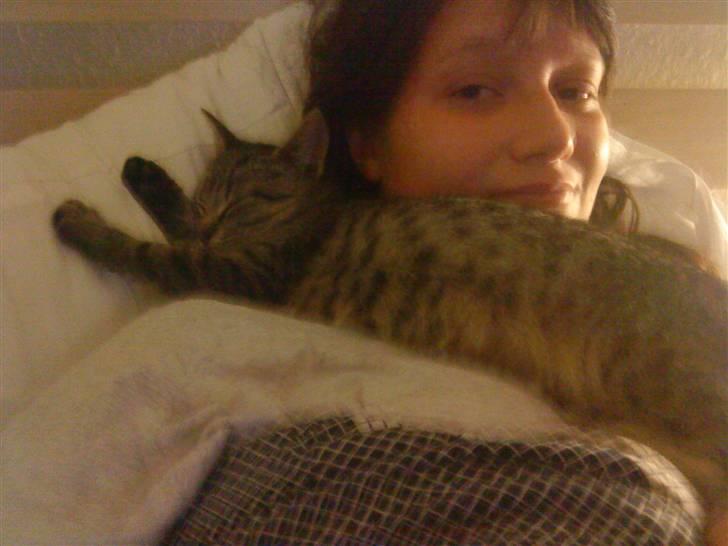 Huskat Elliot billede 10