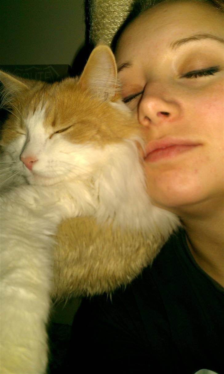 Blanding af racer Mailo - Mig og min dejlige dreng billede 8