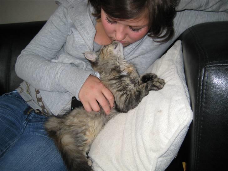 Blanding af racer Chanel billede 7