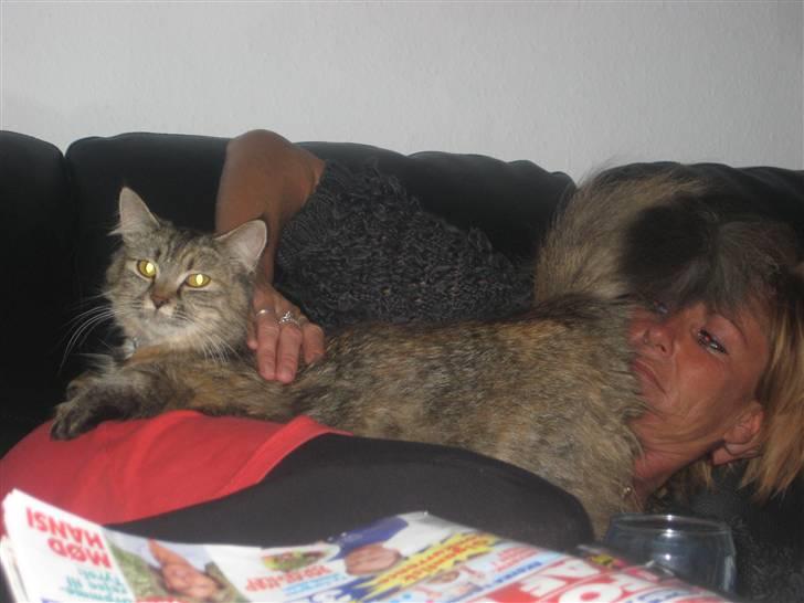 Blanding af racer Chanel billede 8