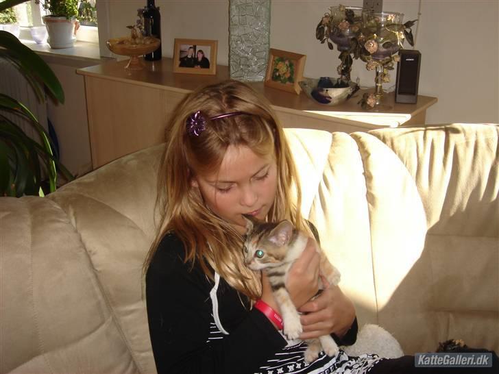 Huskat Mulle R.I.P billede 11