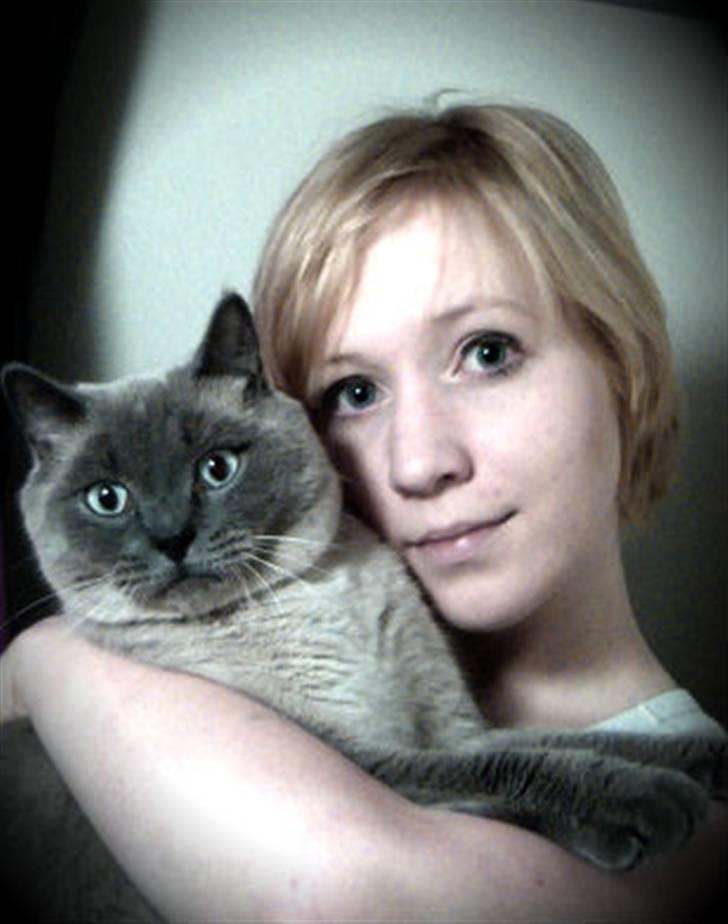 British Shorthair Ramone(Empire's Nautilus) billede 13