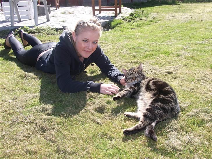 Huskat mis billede 19