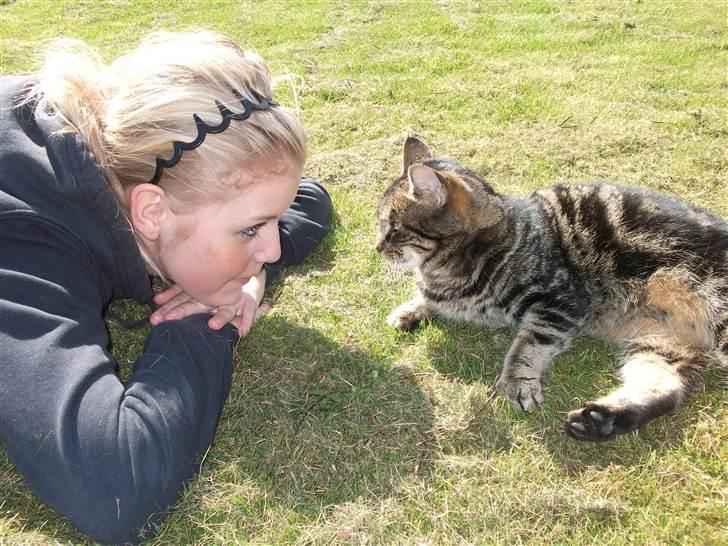 Huskat mis billede 20