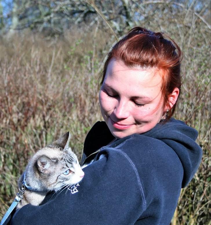 Huskat <3 Princess <3  billede 5