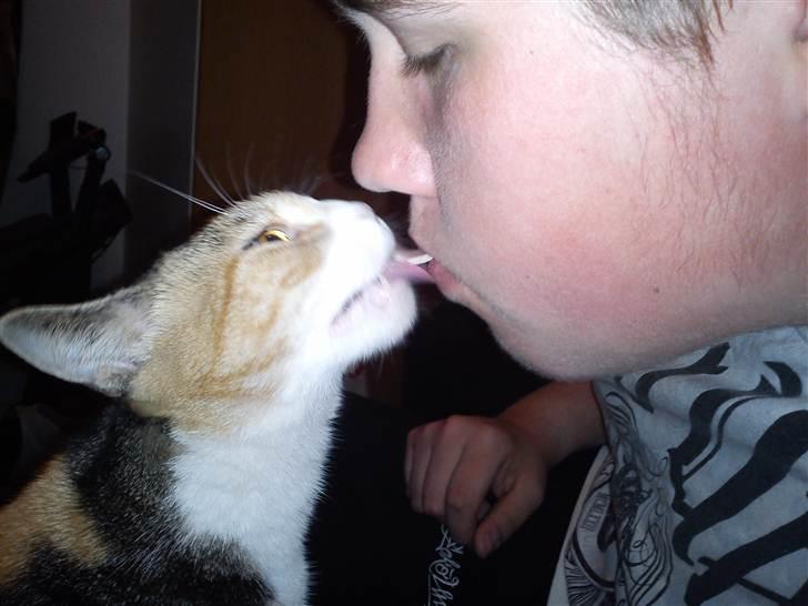 Huskat Luna billede 8