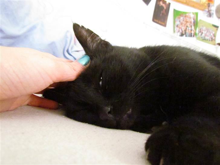 Blanding af racer Basse (Tykke) - 16. "Orv! Det er dejligt" Foto: Emma Kloster (miig) billede 16