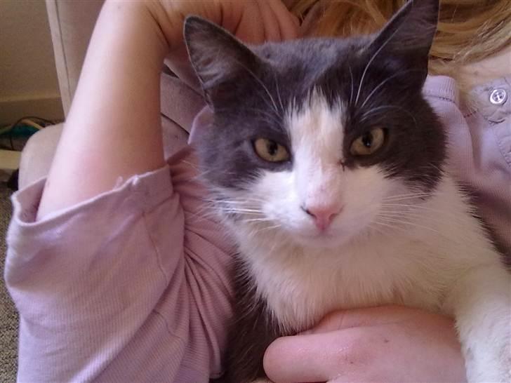 Huskat Mulle billede 16