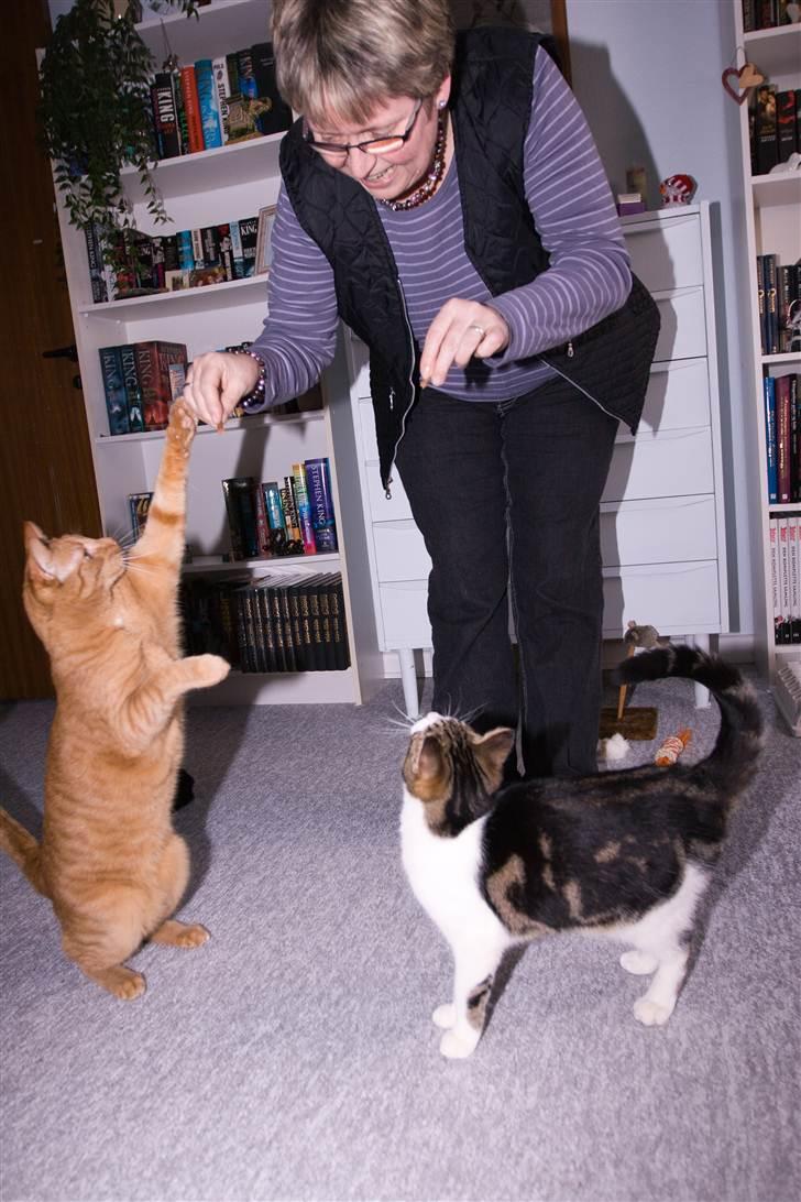 Huskat Futte billede 19