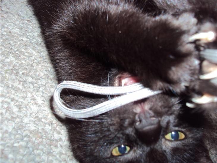 {{currentPhoto.altText}} billede {{currentPhoto.number}}