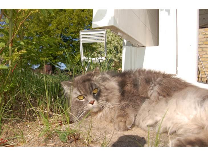 {{currentPhoto.altText}} billede {{currentPhoto.number}}