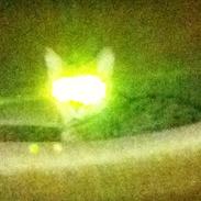 Blanding af racer Macy E. Landgreen