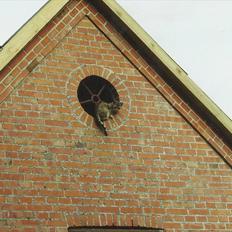 Blanding af racer Minna *R.I.P*