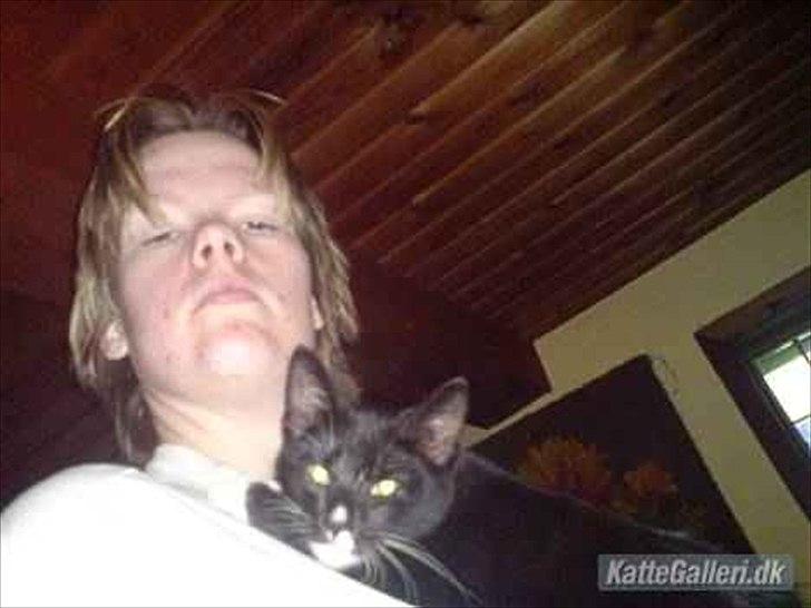 Huskat Sorte DØD billede 20