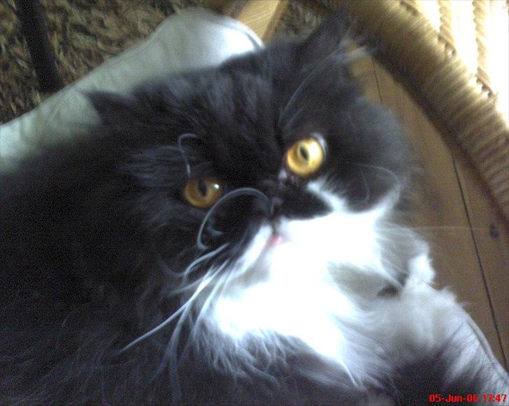 Perser Ludvig †  - Hej billede 7