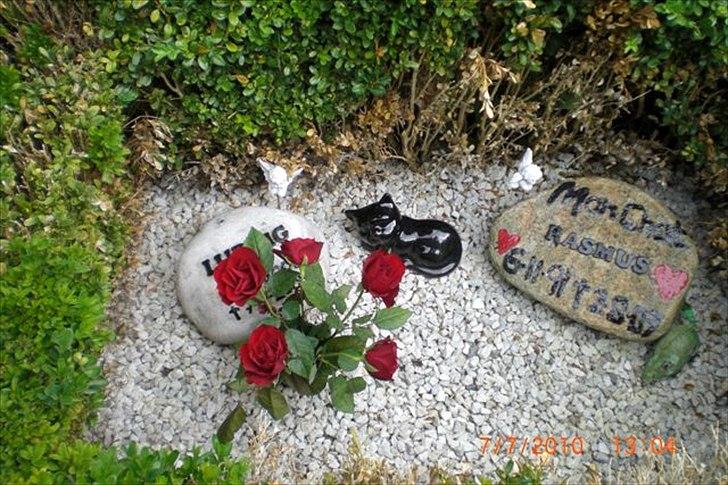 Perser Ludvig †  - Han ligger sammen med Rasmus billede 3