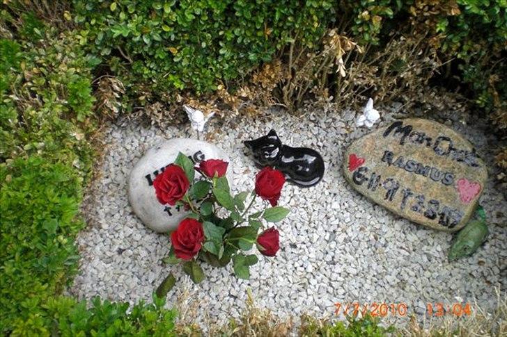 Perser Rasmus †  - Nu deler han plads med Ludvig og de har hver deres sten. billede 8