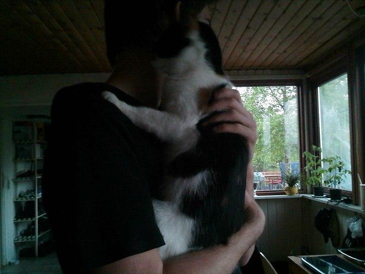 Huskat Molly - molly og min kæreste <3  billede 6